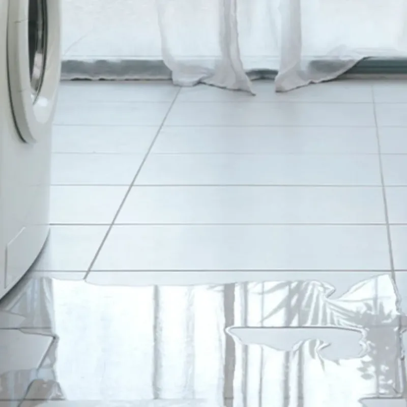 Appliance Leak Cleanup in Wayne County, NY