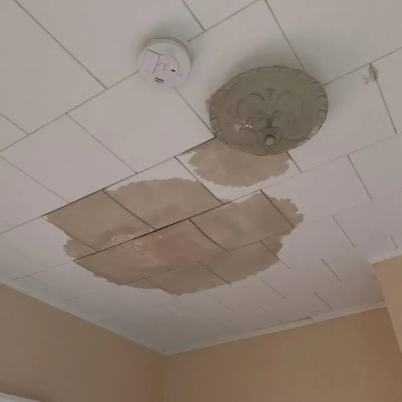 Ceiling Water Damage Repair in Wayne County, NY